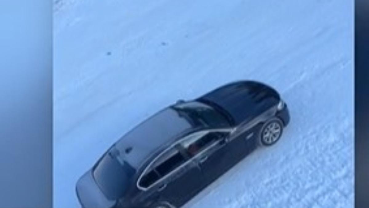 un sofer a fost filmat in timp ce urca cu masina pe partie la borsa clipul a starnit zeci de reactii