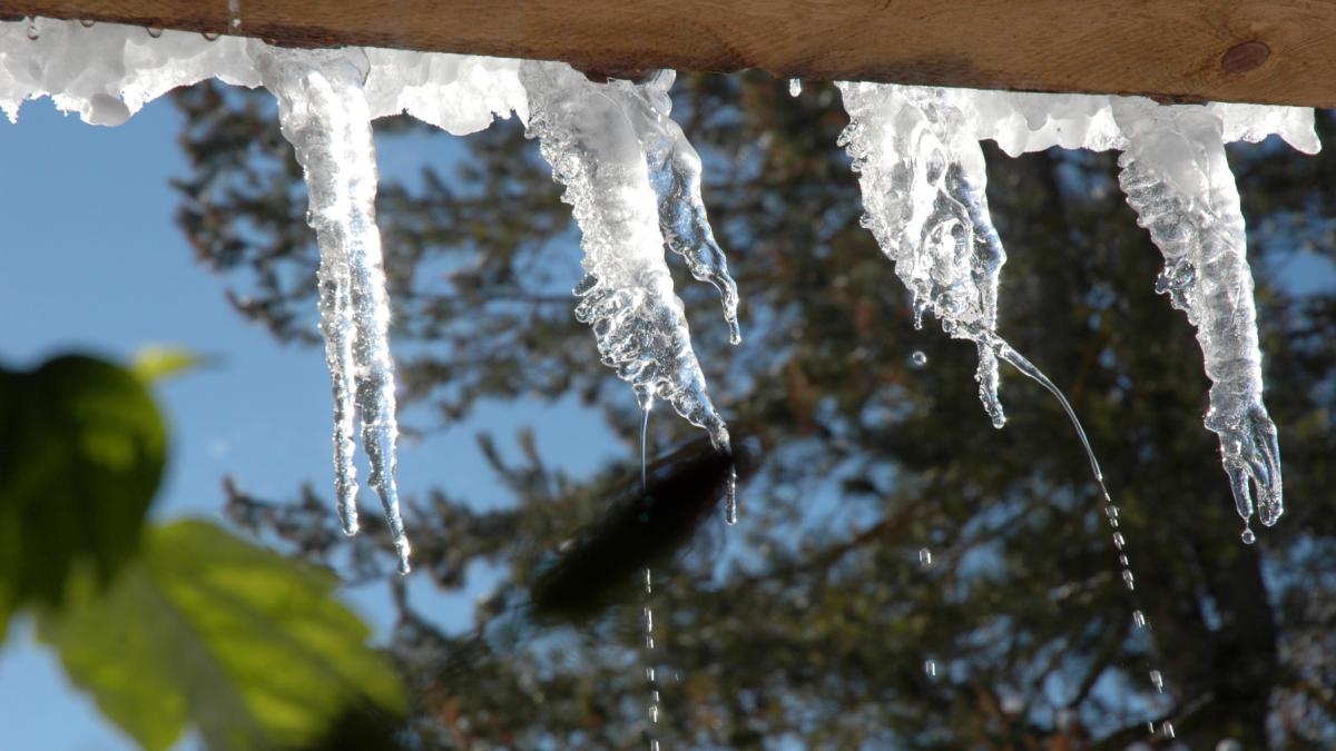 fara ger de boboteaza in romania saptamana urmatoare vine cu vreme de primavara si temperaturi de pana la 17 grade
