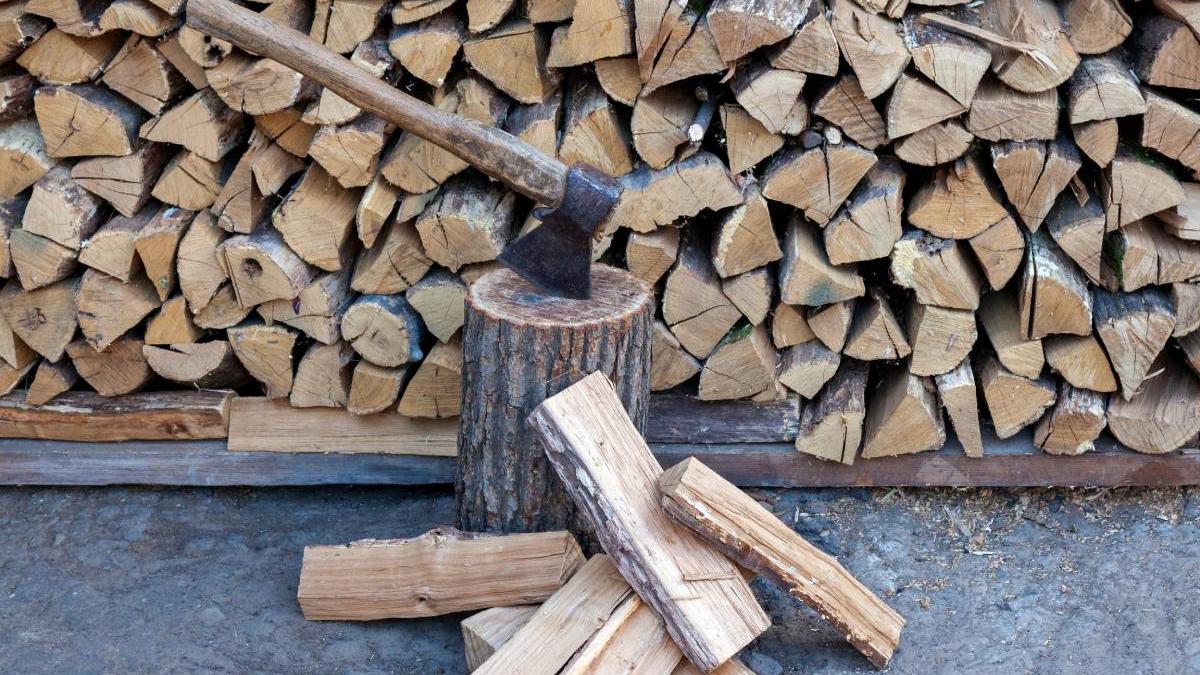 peste 14 mii de metri cubi de lemn furati din padurile de stat pagubele depasesc 7 milioane de lei