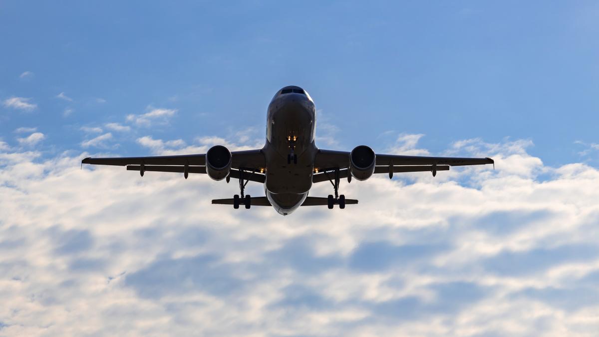 doua cadavre au fost descoperite in trenul de aterizare al unui avion jetblue in florida