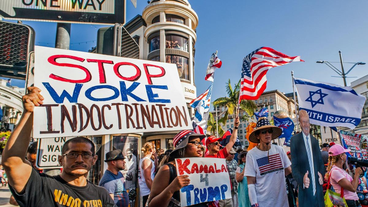 revolutie anti woke in sua marile companii americane renunta la politicile pentru diversitate