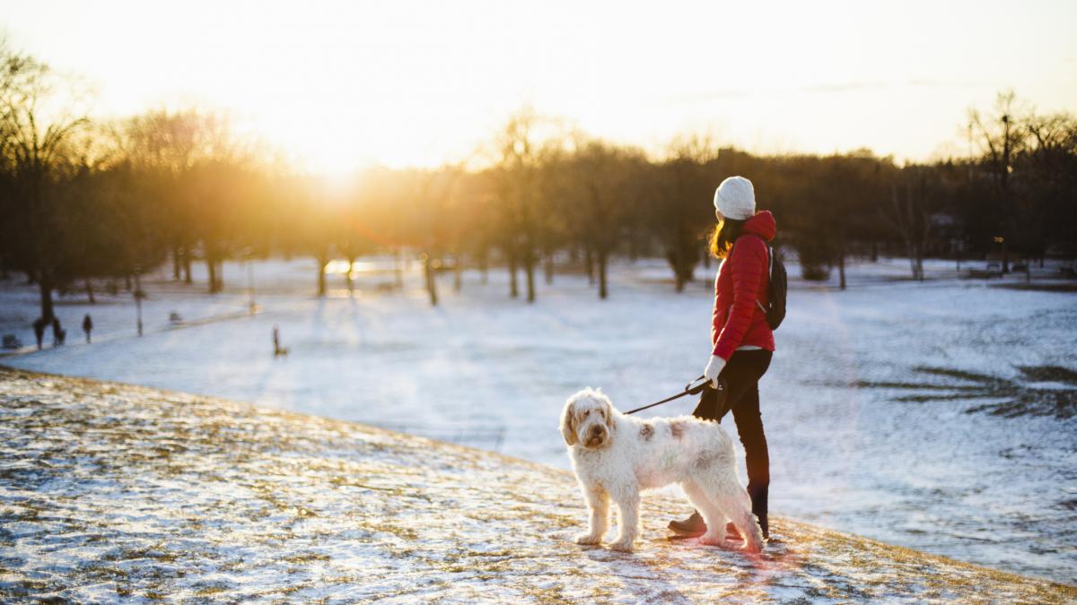 8 ianuarie 2025 cea mai calda dimineata de iarna din ultimii 65 de ani ce temperaturi s au inregistrat in capitala