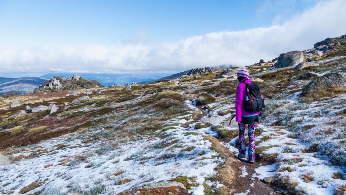 student de 23 de ani disparut pe muntele kosciuszko gasit in viata dupa 14 zile cum a supravietuit in salbaticie
