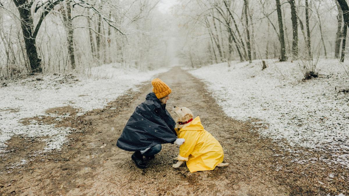 vremea se schimba radical in toata tara sefa anm anunta temperaturi si cu 10 grade celsius mai scazute incepand de vineri