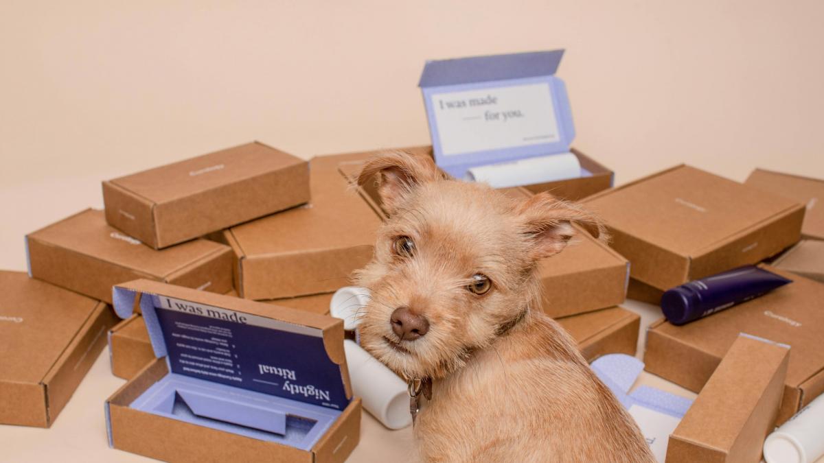 expediere colete online cum sa trimiti colete rapid si sigur cu sameday