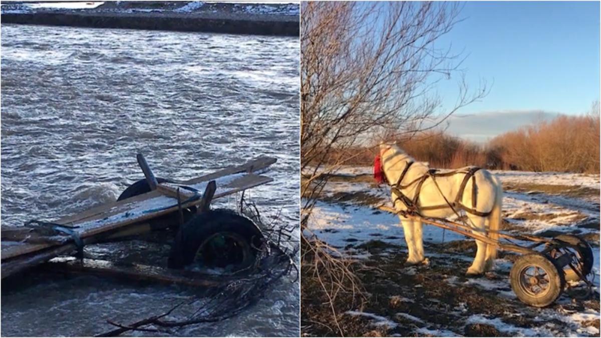 un barbat a incercat sa treaca raul moldova cu caruta un om a sunat la 112 cand a vazut doar calul si o bucata de lemn in apa