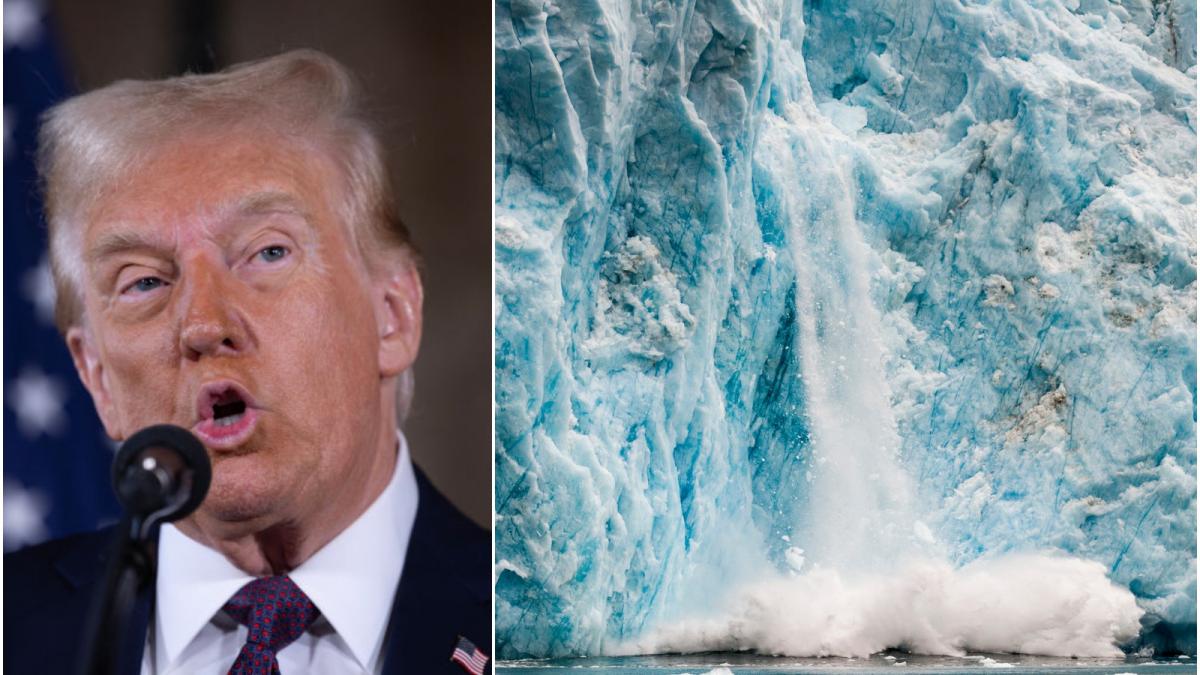 adevaratul motiv pentru care donald trump este atat de pornit sa ia groenlanda ministru francez revine politica fortei