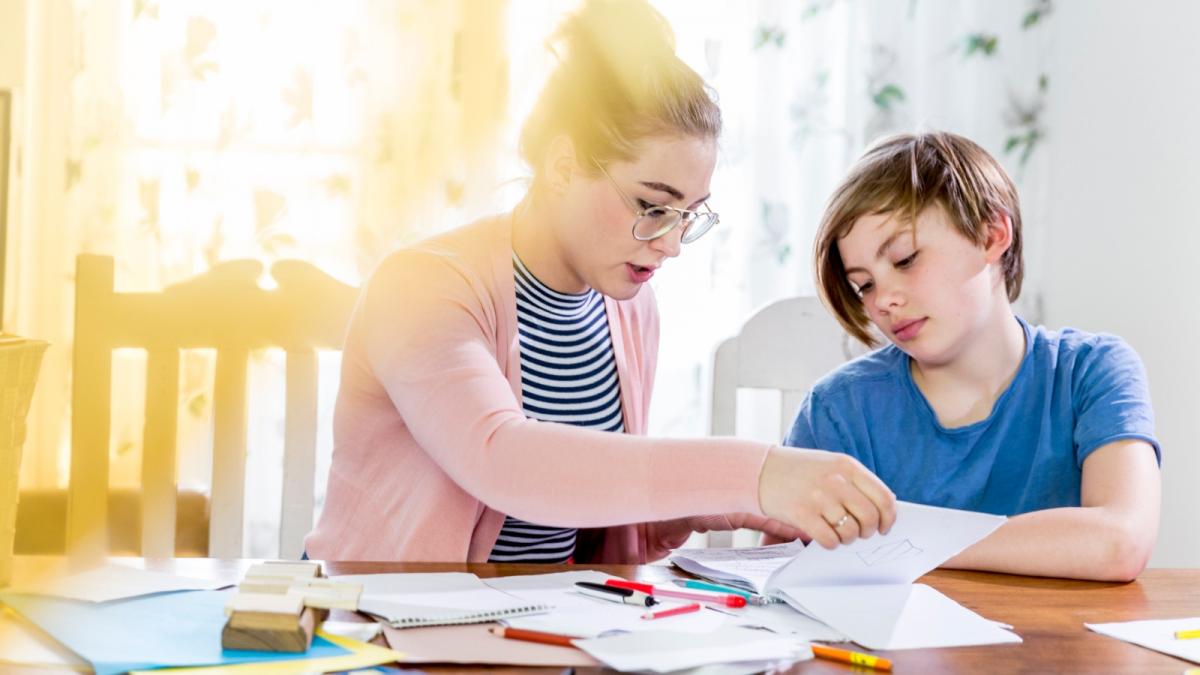 ministrul educatiei despre meditatii trebuie facute legal nu pe ascuns pentru a evita conflictele de interese