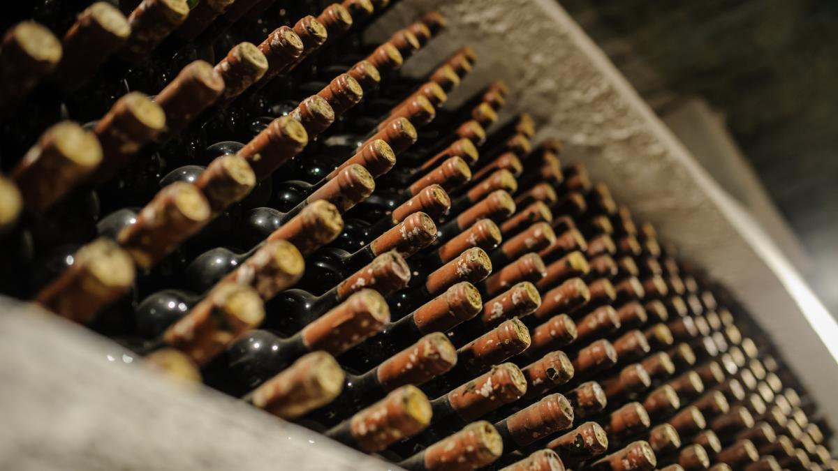 moldovenii au evacuat vinul lui putin din cramele cricova a fost dus intr un colt intunecat si inchis al pivnitei