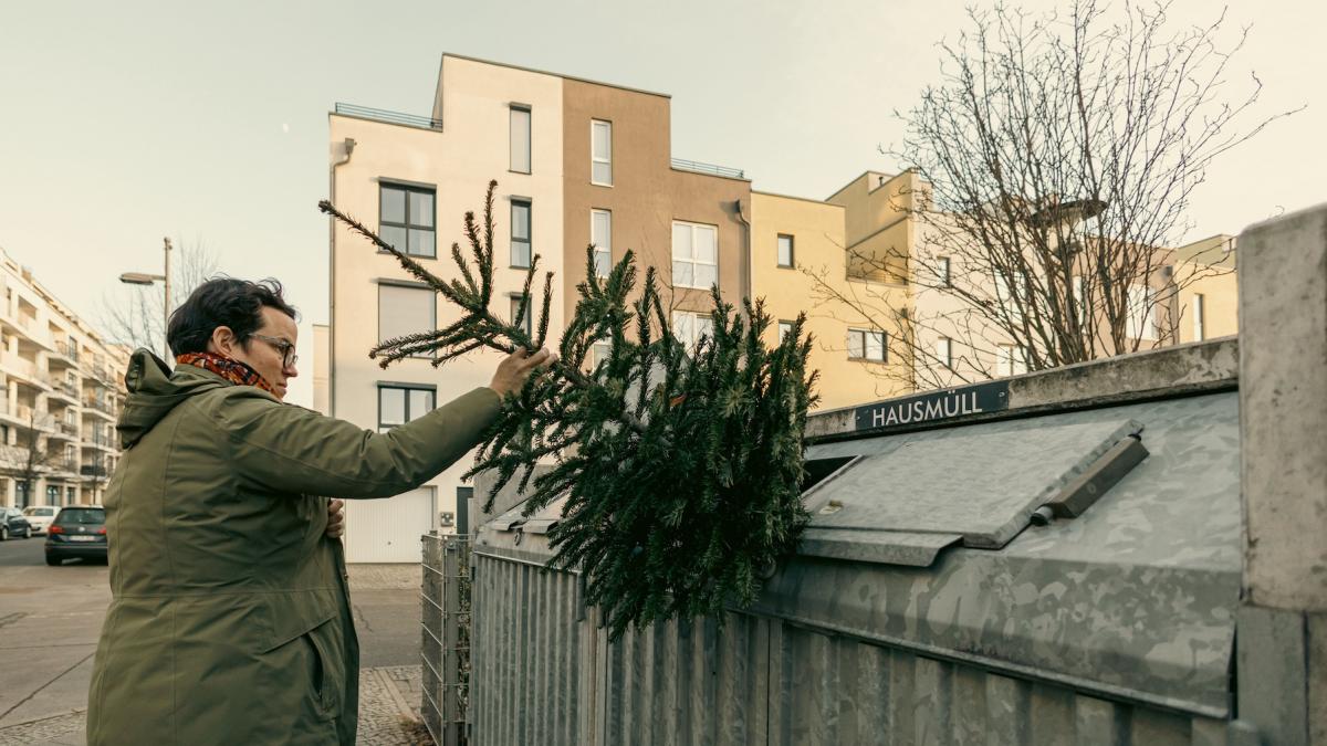 brazii de craciun colectati gratuit in capitala de la ghenele blocurilor portile caselor si de la centrele de colectare