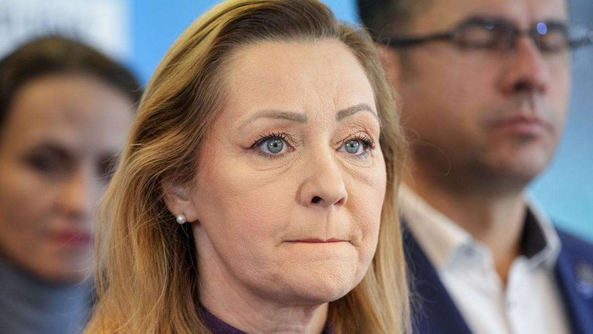 ce poate primi elena lasconi in schimbul retragerii din cursa alegerilor prezidentiale