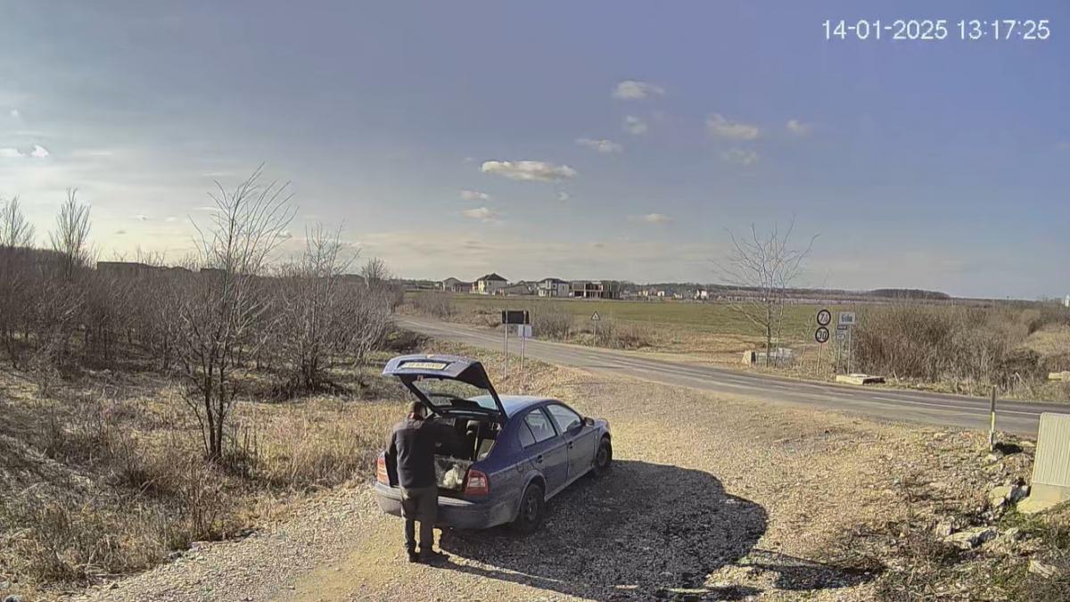 un barbat din bucuresti si a abandonat pisica la marginea drumului in mai putin de 24 de ore a fost amendat cu 10 000 de lei