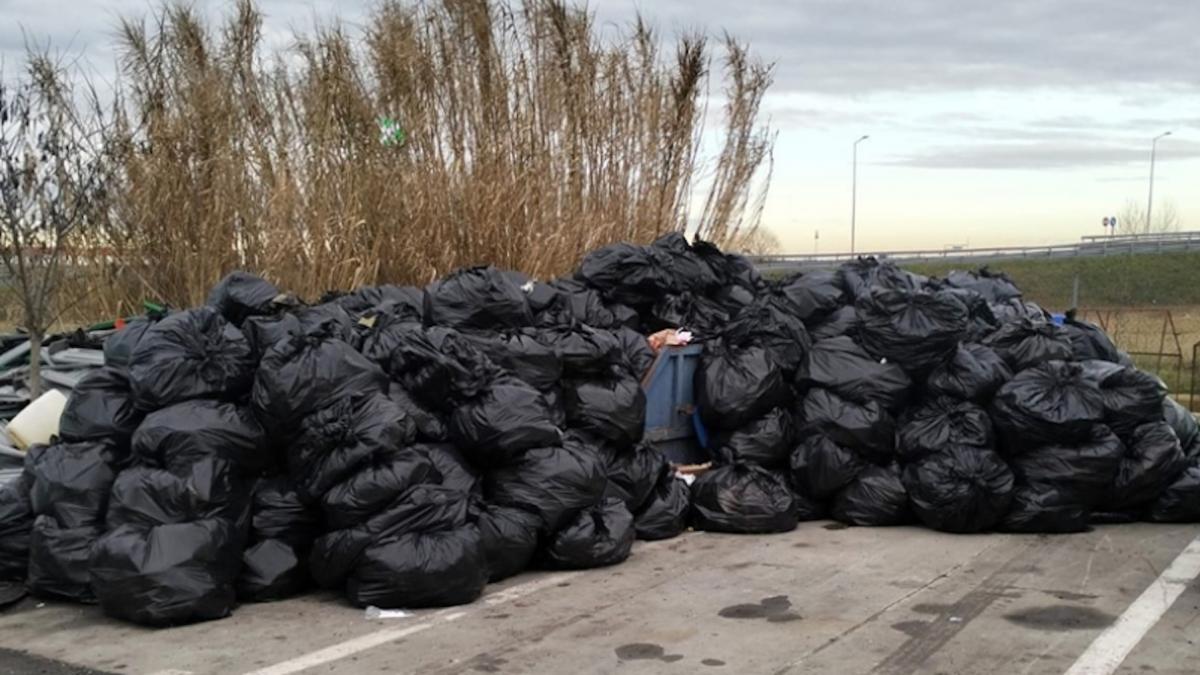 timisoara capitala europeana a culturii sufocata de gunoaie planurile lui dominic fritz pentru salubrizarea orasului