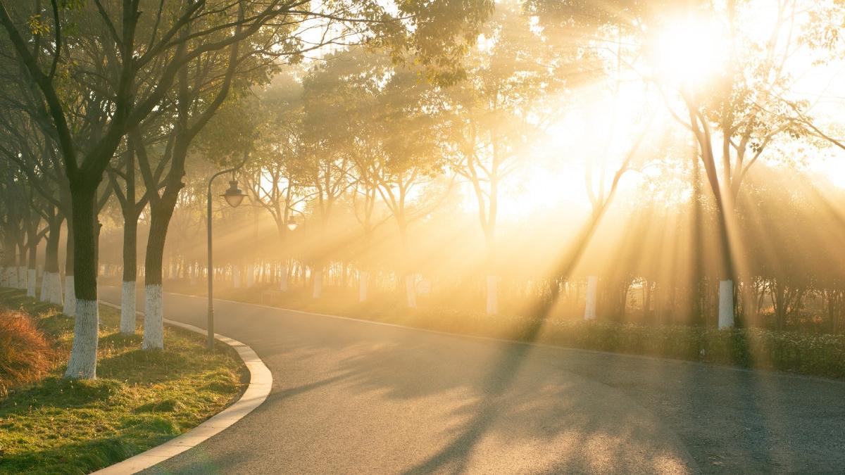 prognoza meteo pentru urmatoarele patru saptamani cum va fi vremea pana la jumatatea lunii februarie