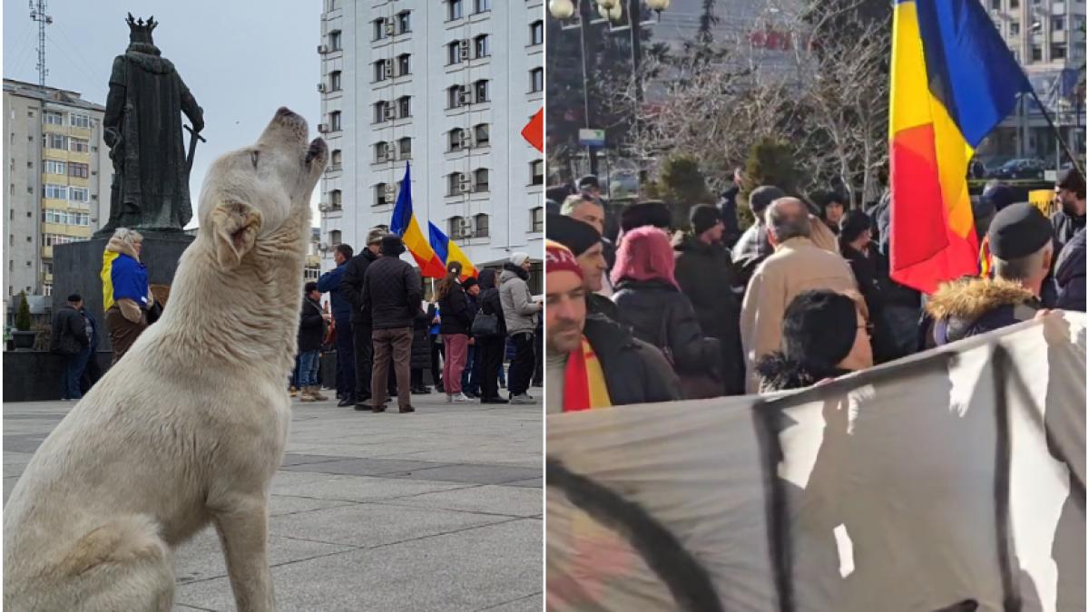 proteste aur in tara circulatia in fata prefecturii bucuresti a fost blocata masurile de securitate au fost sporite