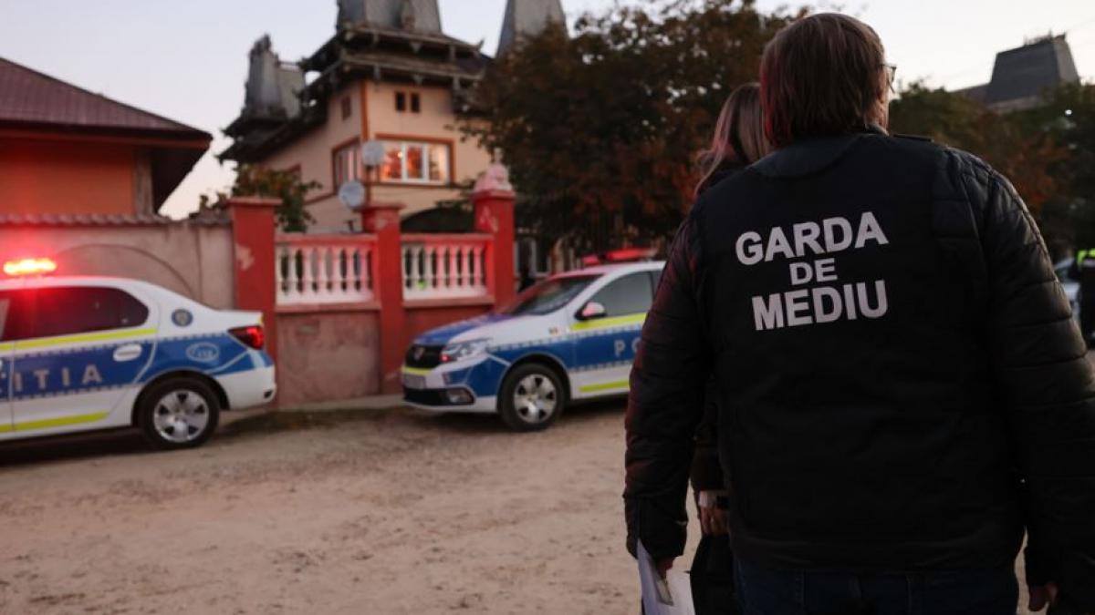 garda de mediu a dat amenzi de peste 36 de milioane de euro anul trecut 2024 a marcat un record au fost aproape 50 000 de controale