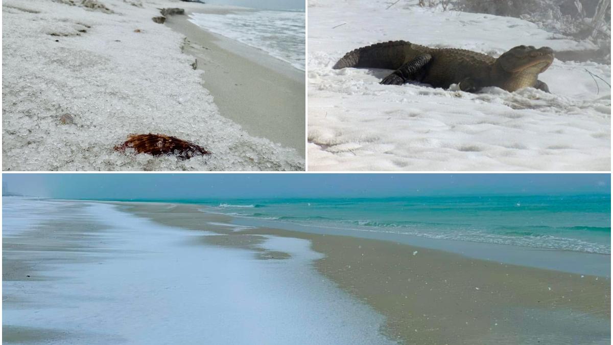 imagini incredibile cu zapada pe plajele cu nisip alb din florida furtuna istorica in sua 4 morti scoli inchise aeroporturi blocate