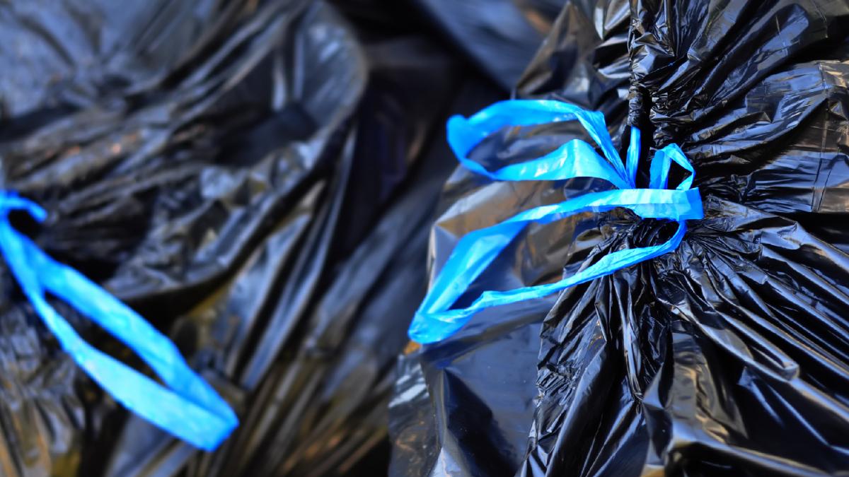 un tanar grec a facut o descoperire arheologica fara sa stie ce era in punga gasita langa cosuri de gunoi pe care a dus o la politie