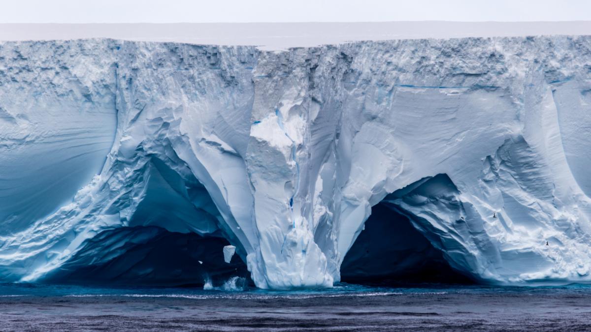 a23a cel mai mare aisberg din lume se afla pe un traseu de coliziune cu o insula britanica pinguinii si focile sunt in pericol