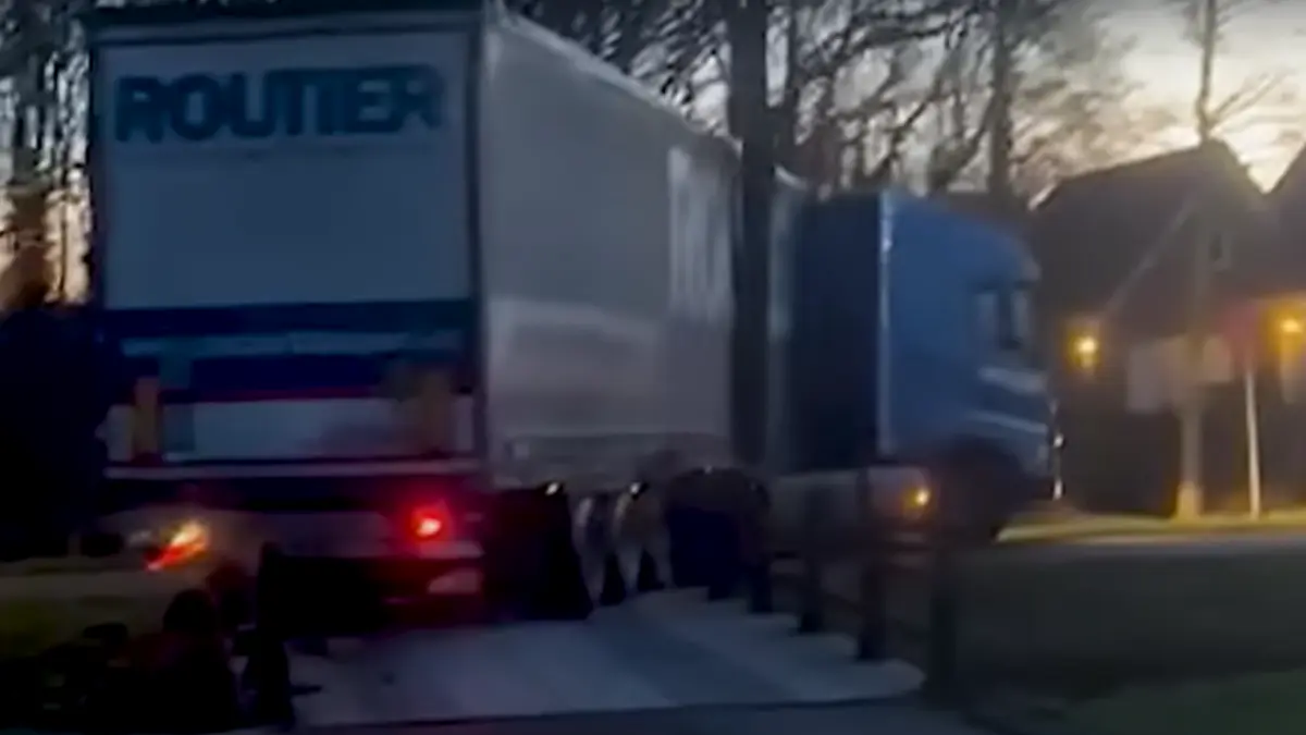 video olandezii au ramas muti de uimire cand au vazut un roman care a intrat cu tir ul pe un pod de biciclete