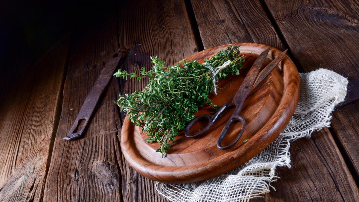 planta aromatica apreciata de romani ca si condiment care traieste mai mult decat omul specialist brgv este antiinflamator