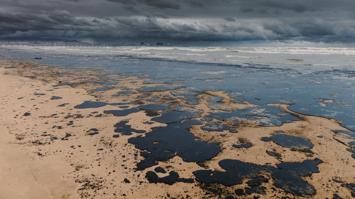 dezastru ecologic in marea neagra s au descoperit pete noi de combustibil dupa naufragiul petrolierelor rusesti in stramtoarea kerci dezastru ecologic in marea neagra s au descoperit pete noi de combustibil dupa naufragiul petrolierelor rusesti in stramtoarea kerci