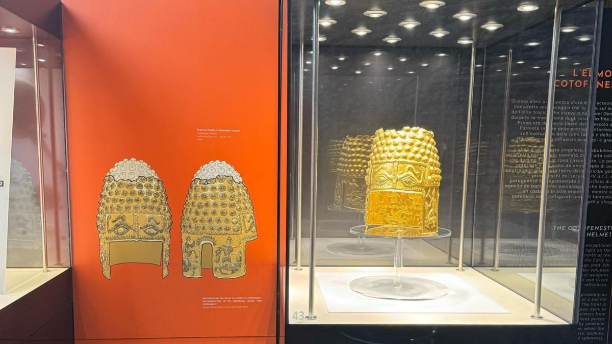 europarlamentarul victor negrescu cere sprijinul ue dupa furtul din tezaurul dacic al romaniei