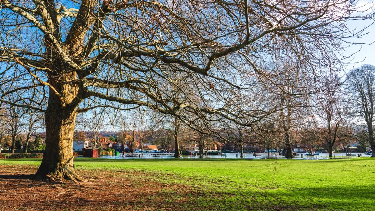 prognoza meteo pentru zilele urmatoare cum va fi vremea in ultima saptamana din ianuarie