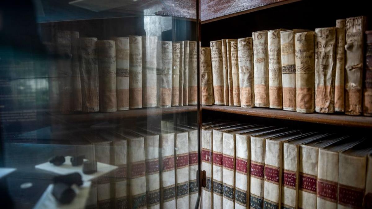 elon musk a anuntat ca doneaza 3 milioane de dolari pentru descifrarea secretelor papirusurilor de la herculaneum