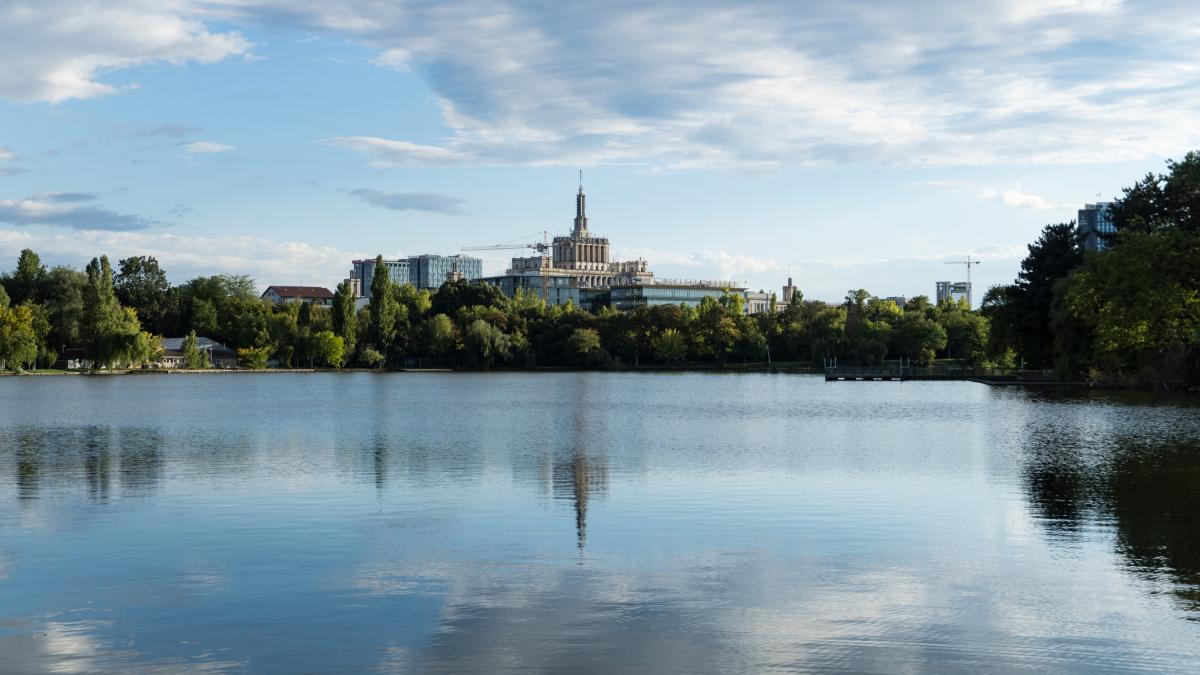 padurea baneasa ar putea deveni arie naturala protejata in sectorul 1 din bucuresti autoritatile cer terenul de la romsilva