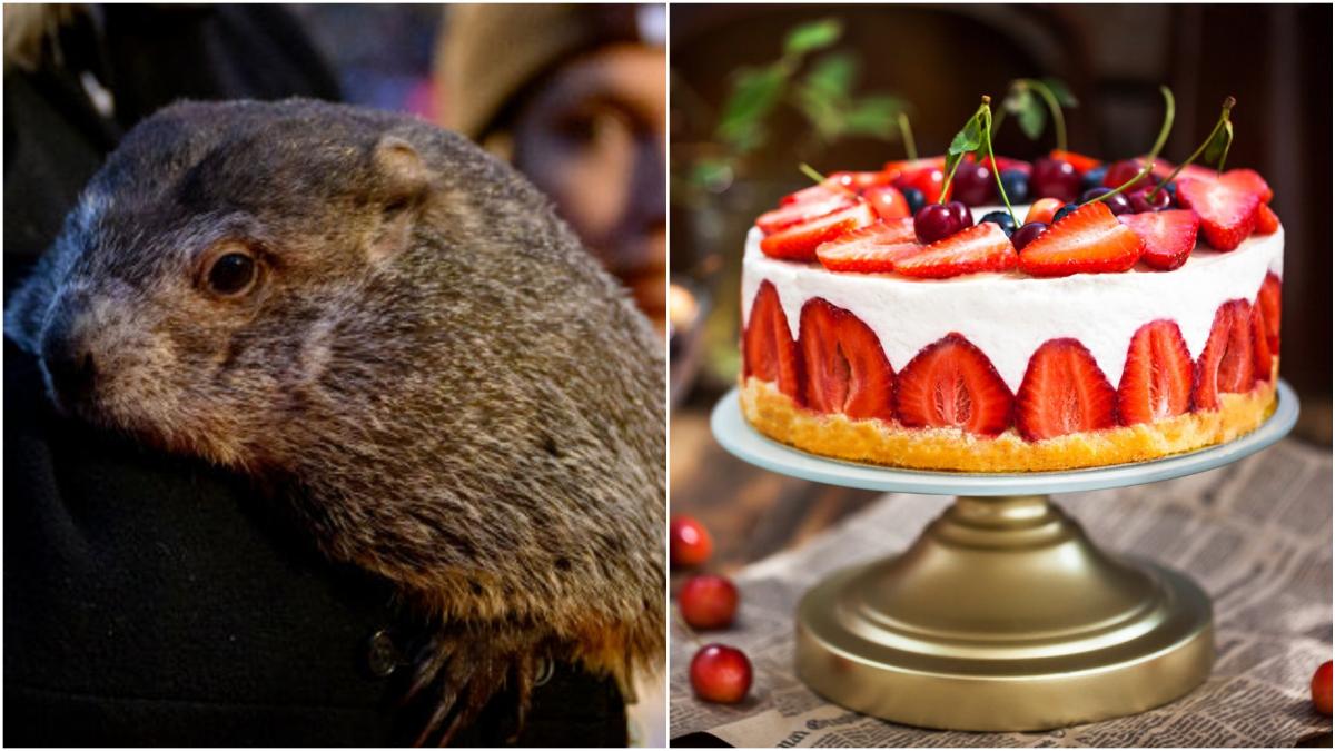 peta cere schimbarea traditiei de ziua marmotei phil vestitul meteorolog sa fie inlocuit de un tort care prezice vremea