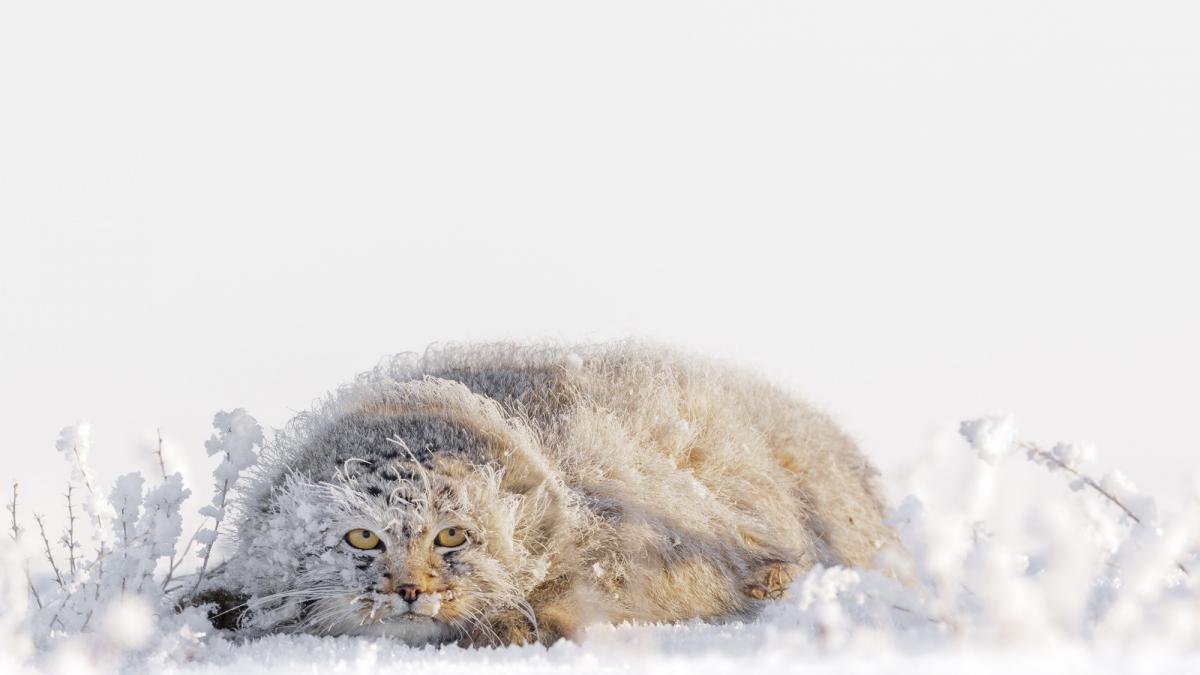 un roman de 18 ani printre castigatorii concursului travel photographer of the year 2024 cele mai frumoase imagini din competitie