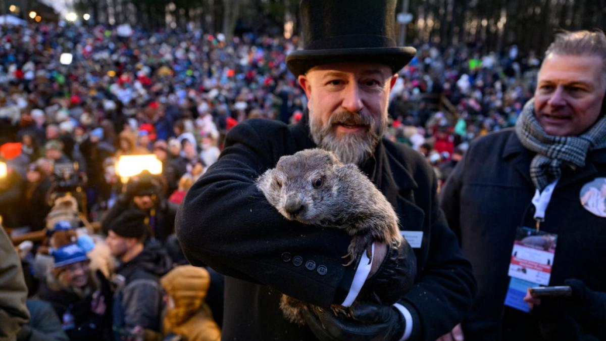 marmota phil a prezis cat va mai dura iarna ce spune legenda