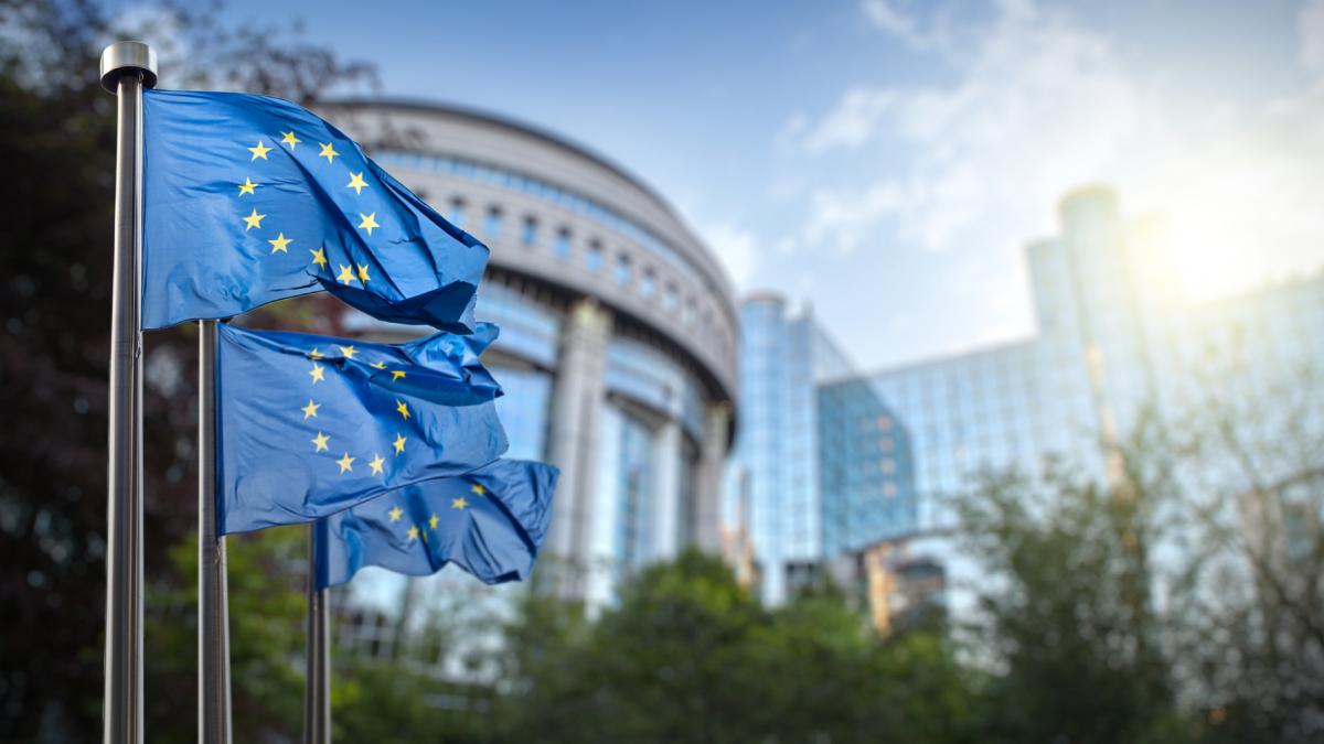 steaguri uniunea europeana parlamentul european bruxelles belgia