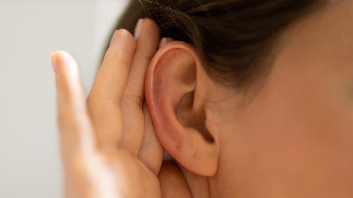 gata de ce se misca urechile atunci cand incercam sa ascultam ceva ce au descoperit cercetatorii