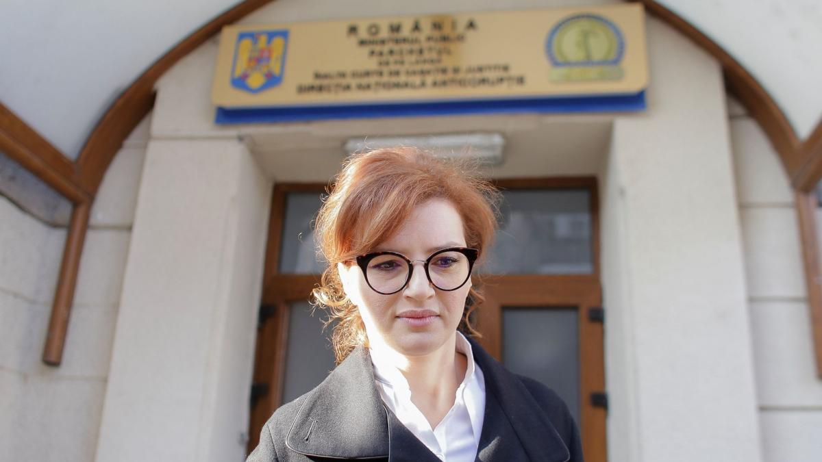 ioana basescu la dna