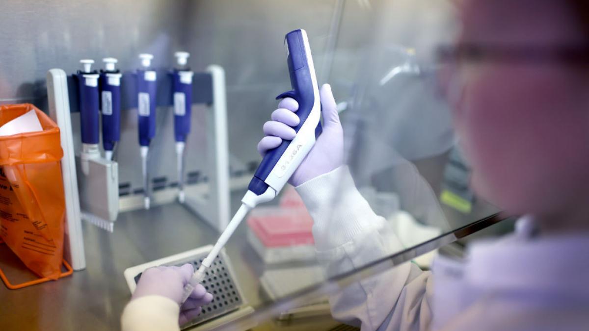 Un microbiologist verifică una dintre probe în laborator.