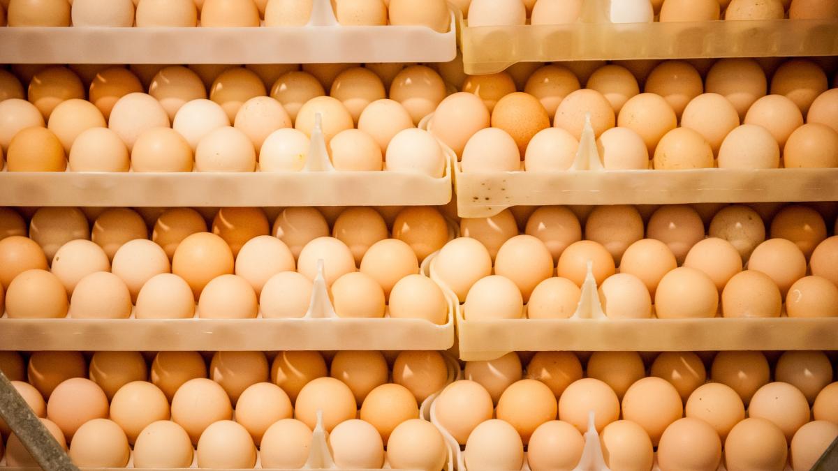 100 000 de oua au fost furate dintr un magazin din sua dupa ce preturile au explodat