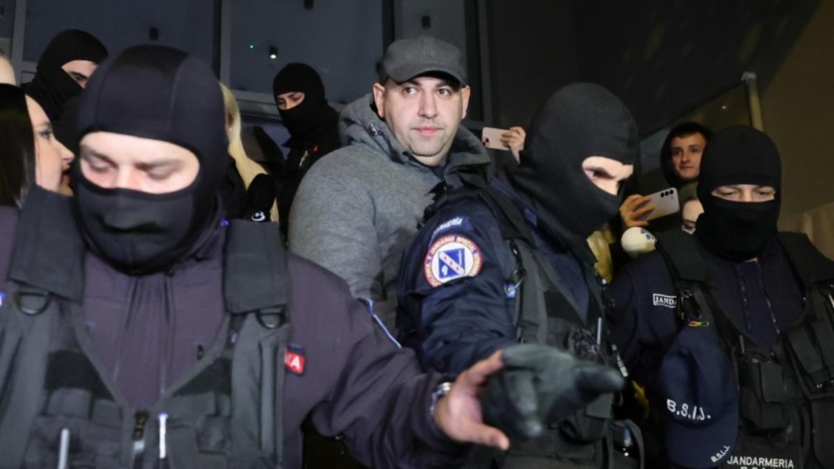 laura vicol si patronul nordis au fost lasati liberi dupa o noapte de arest primele declaratii ale lui vladimir ciorba