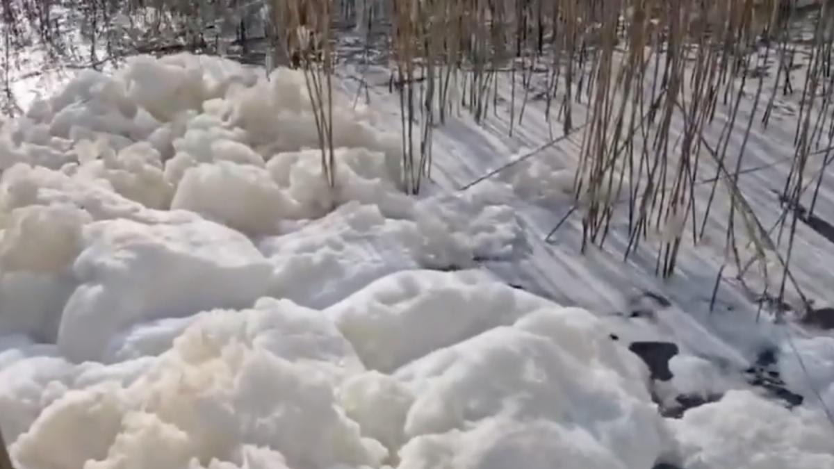fenomen rar pe litoral lacul care faca spuma care este explicatia