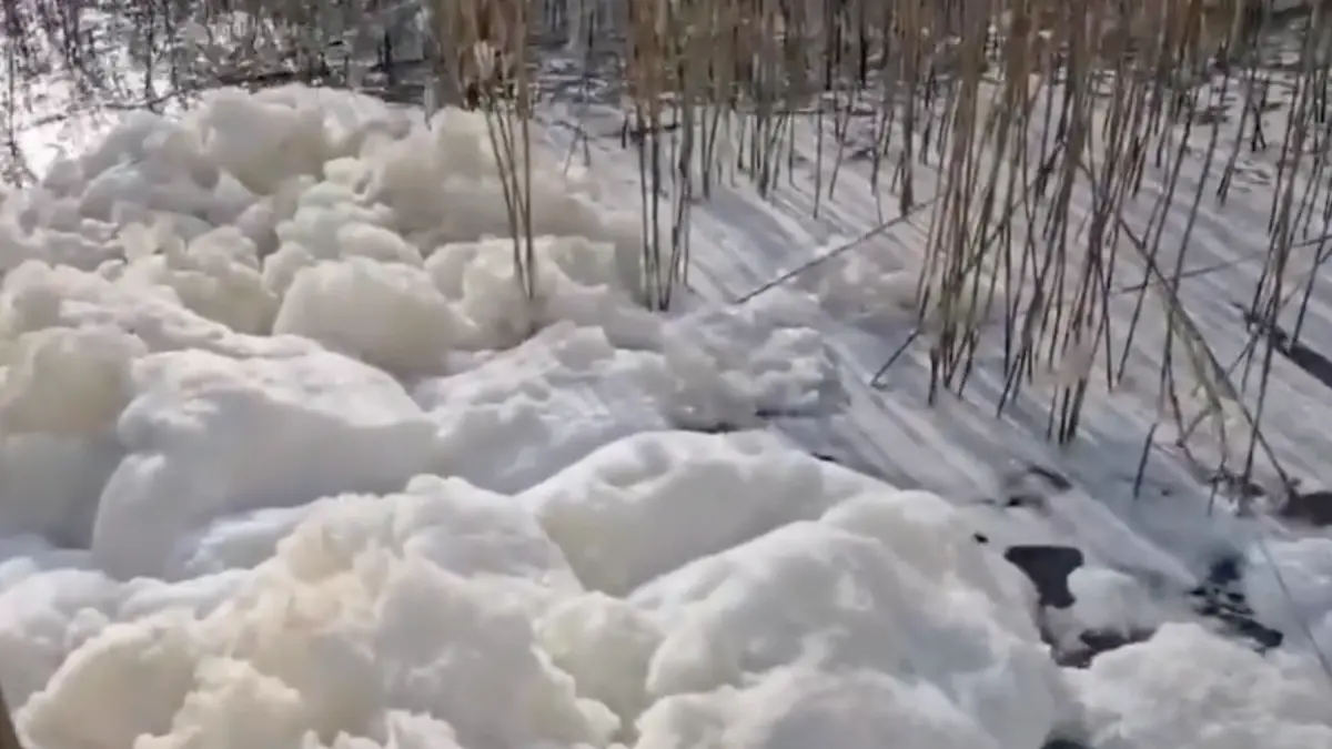 fenomen rar pe litoral lacul care faca spuma care este explicatia