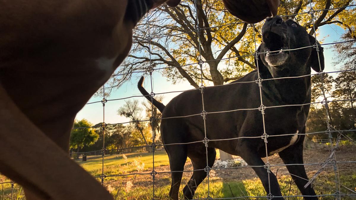 un barbat din sua a fost condamnat la 475 de ani de inchisoare cate si ce infractiuni a comis