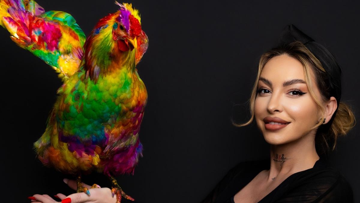 afacere inedita la craiova o tanara a inceput sa vopeasca penele pasarilor la coafor si acum scoate la licitatie un cocos pictat