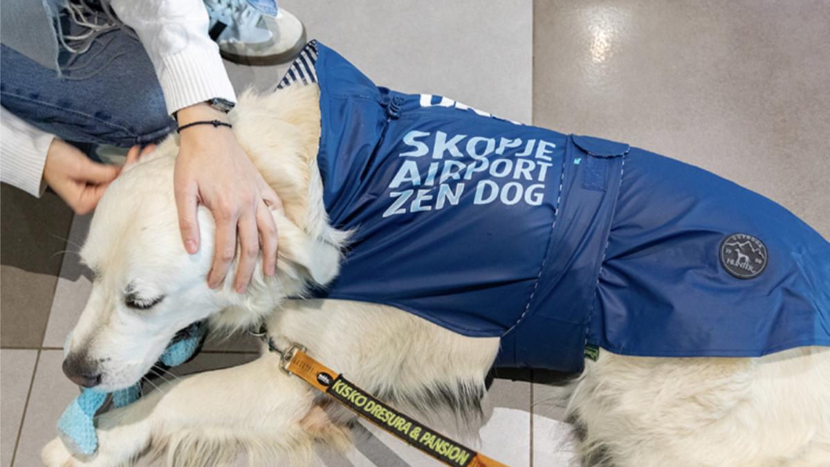 aeroportul din europa unde un caine ii ajuta pe calatori sa scape de frica de avion ii place sa si faca prieteni