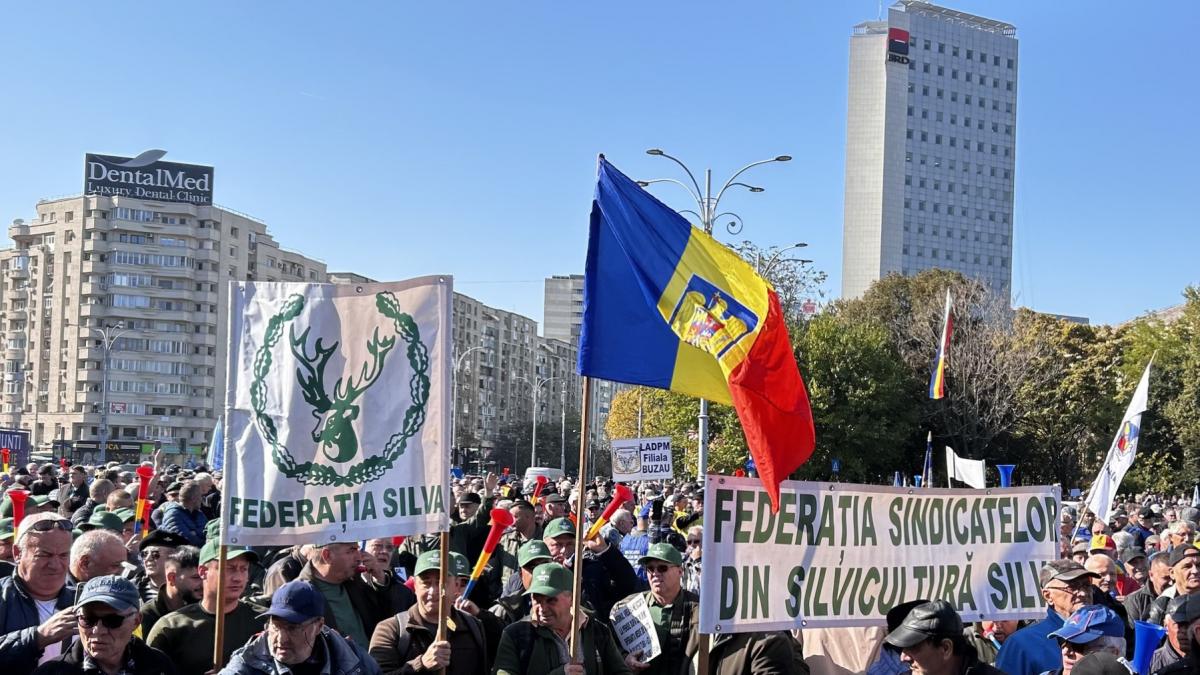 protest silvicultori piata victoriei