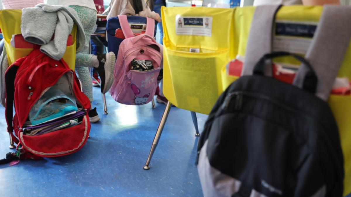 structura anului scolar 2025 2026 a fost pusa in consultare de ministerul educatiei cand incepe scoala si ce vacante vor avea elevii