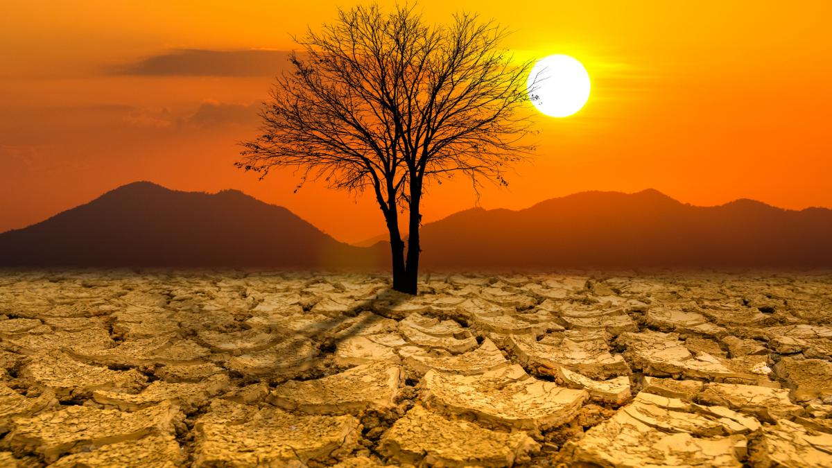 schimbarile climatice duc la preturi mai mari pentru alimente in 2025 unde s au inregistrat cele mai mari scumpiri