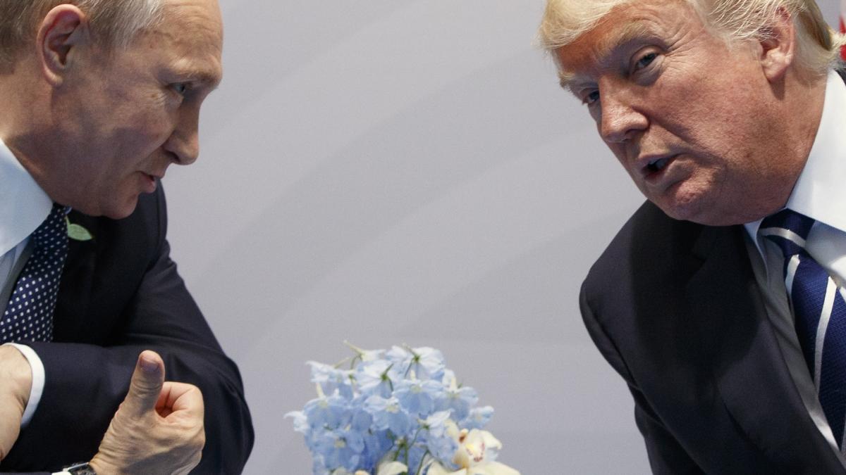 cum incearca putin sa scape de zelenski i a oferit lui trump acces la zacamintele din arctica dupa ce kievul a refuzat acordul cu sua