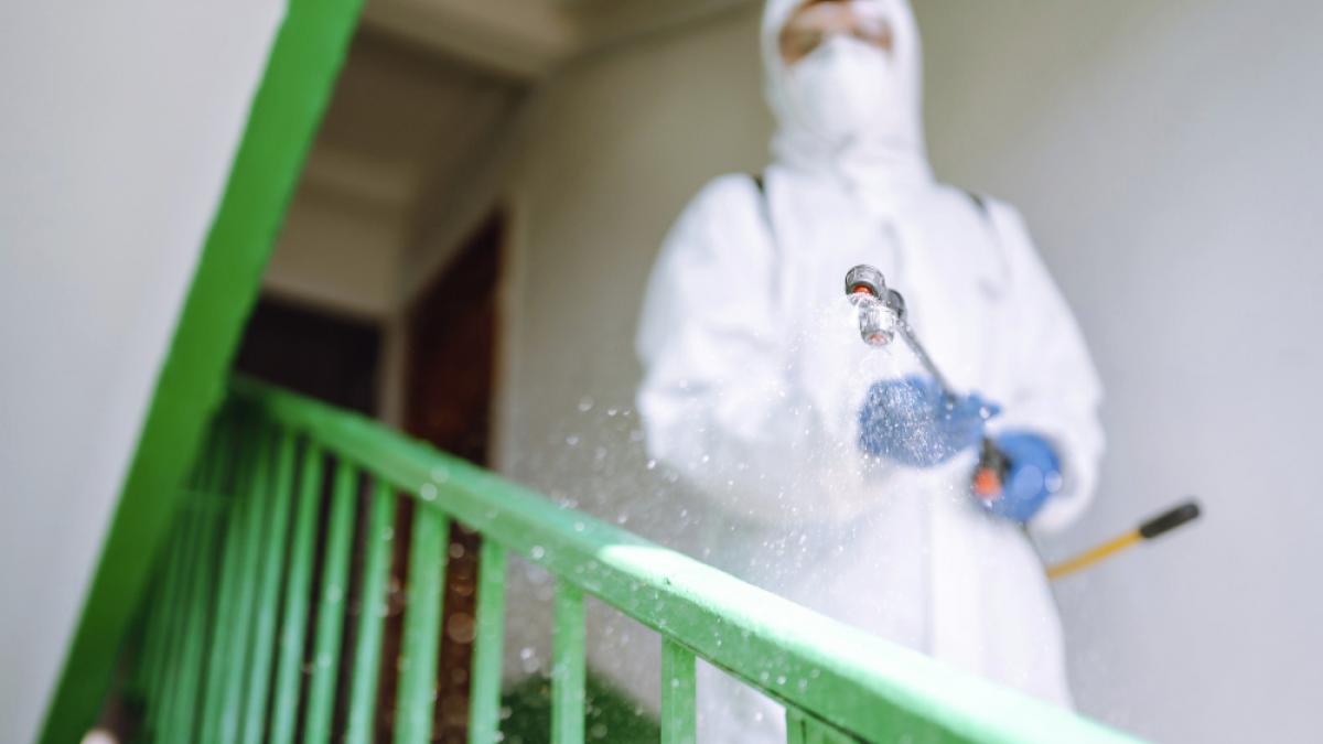 cui se adreseaza serviciile de deratizare