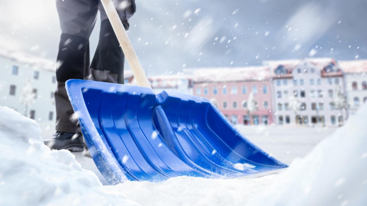 mobilizare generala vino si cu o lopata mm stoica ii cheama pe bucuresteni la dat zapada pe arena nationala inainte de meciul fcsb